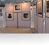 Exhibition Board, Һ촹Էȡ, Һ촨ѴԷȡ, 촹Էȡ